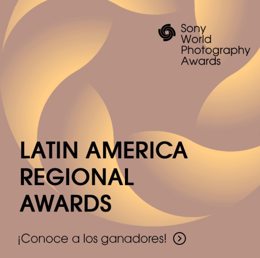 Latin America Professional Award: Ganadores
