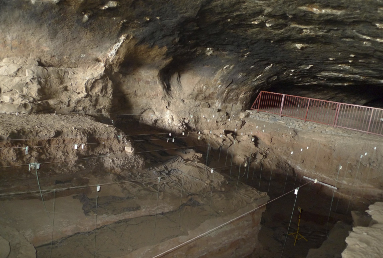 Cuando el fuego cambió nuestro destino: descubren que el Homo erectus utilizó llamas hace 1,8 millones de años