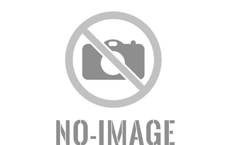 Un amor que desafía el tiempo: Bruce Willis y Emma Heming Willis celebran 17 años de historia, resiliencia y ternura