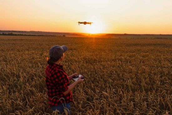 El campo que aprende a anticiparse: tecnología e innovación transforman la agricultura ecuatoriana El campo que aprende a anticiparse: tecnología e innovación transforman la agricultura ecuatoriana