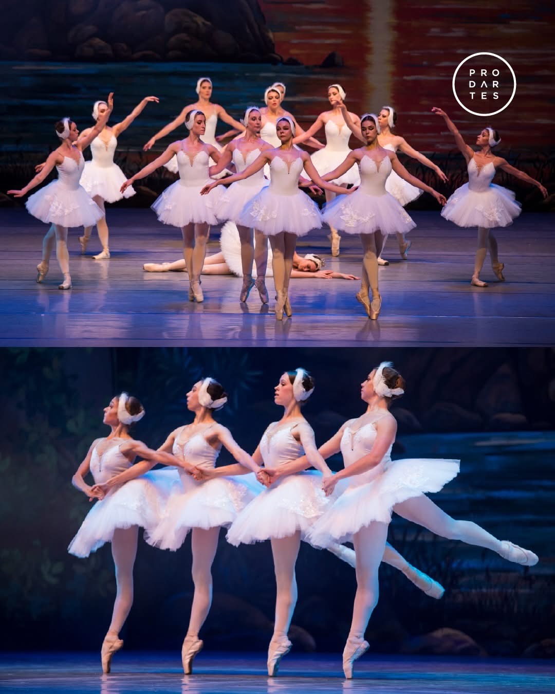 El Lago de los Cisnes deslumbra en Ecuador: el ballet más eterno del mundo llega con una puesta de nivel internacional